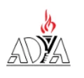 Adya It Consulting