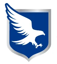 Aegis Fire Systems logo