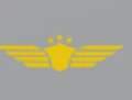 Aero Auction logo