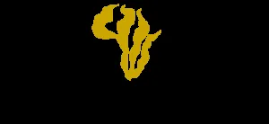 African Actuarial Consultants logo