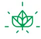 Aloha Green Apothecary logo