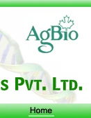 AG Bio Systems