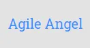 Agile Angel logo