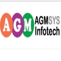 AGMSYS Infotech
