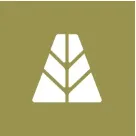 Agora logo