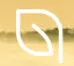 Agricarbon logo