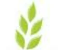 Agrino logo