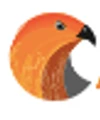 AI Hawks