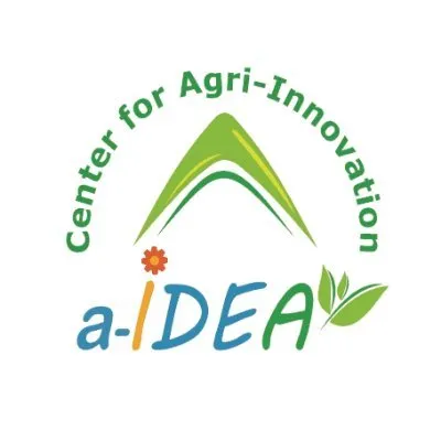 a-IDEA logo