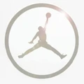 Air Jordan Shoes logo