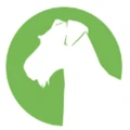 Aireforge logo