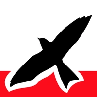 Airsight logo