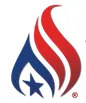 American Insurance Strategies logo