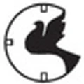 Akila news logo
