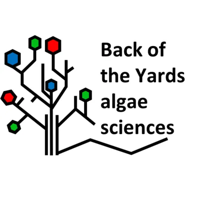 BYAS logo
