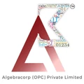 Algebracorp