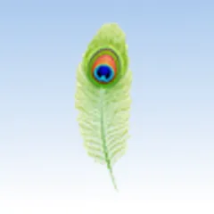 Aligned Signs logo