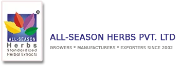All-Season Herbs