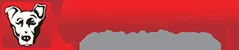 Alpha Media USA logo