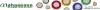 Alphasense logo