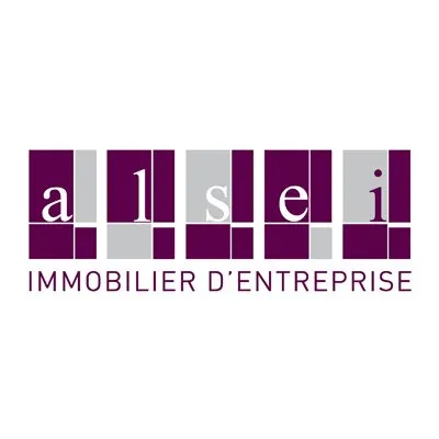 ALSEI logo
