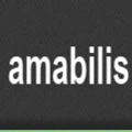 Amabilis Software logo