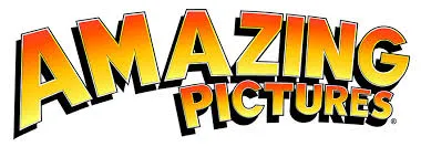Amazing Pictures
