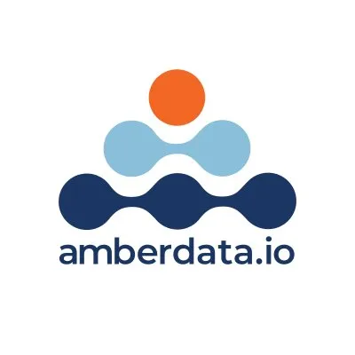 Amberdata logo