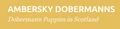 Ambersky Dobermanns logo
