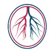 American Endovascular logo