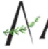 AmeriHerb logo