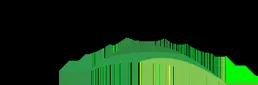 AmerStem logo