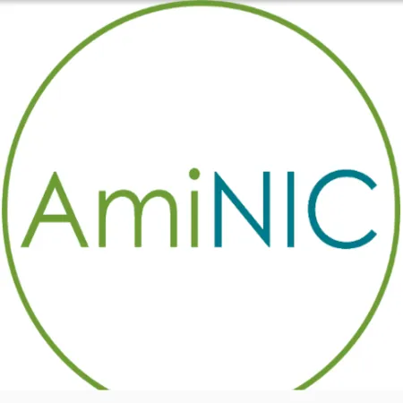 AmiNIC logo