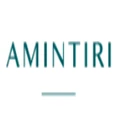 Amintiri logo