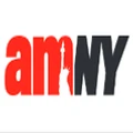 amNewYork logo