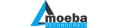 Amoeba Technocrats