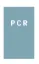 AMPED PCR