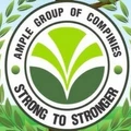Ample Group