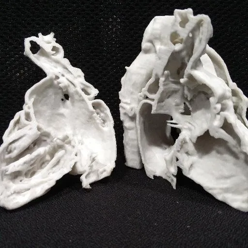 Anatomiz3D