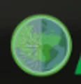 Ancus India