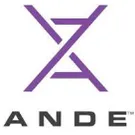 ANDE logo