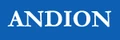 Andion IT logo
