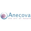 Anecova logo