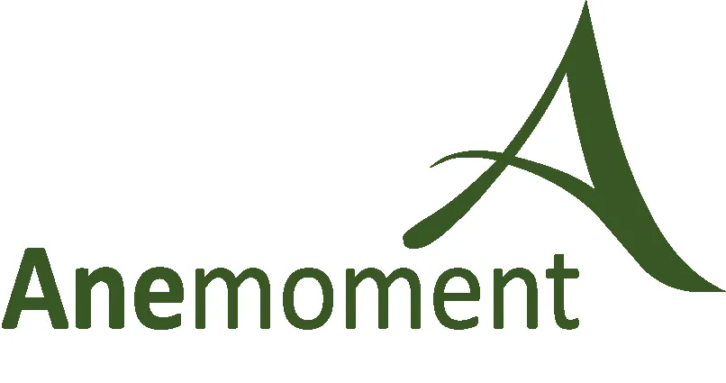 Anemoment logo