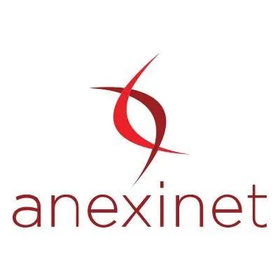 Anexinet logo