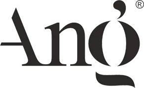 ANG Group logo