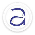 Anga Infotech