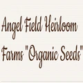 Angel Field Heirloom Farms logo
