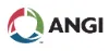 ANGI Energy logo