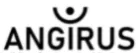 Angirus logo